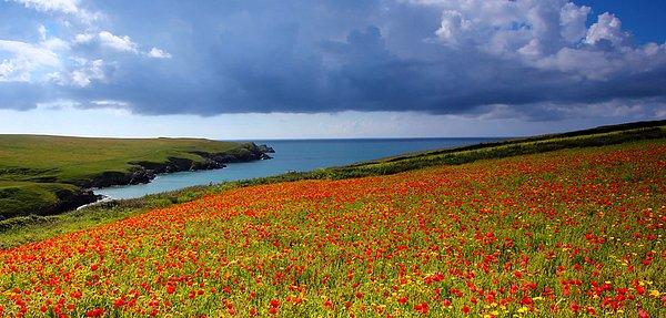 14. Cornwall, İngiltere