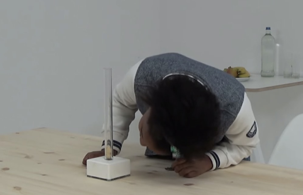 Eğitim Sistemine İlginç Bir Eleştiri: İnsanın Maymuna Karşı Savaşı