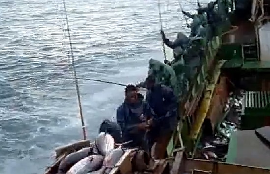 Balıkları Peynir Ekmek Gibi Avlayan Balıkçılar