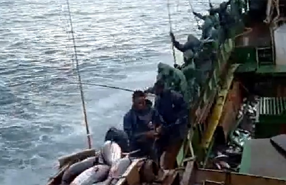 Balıkları Peynir Ekmek Gibi Avlayan Balıkçılar