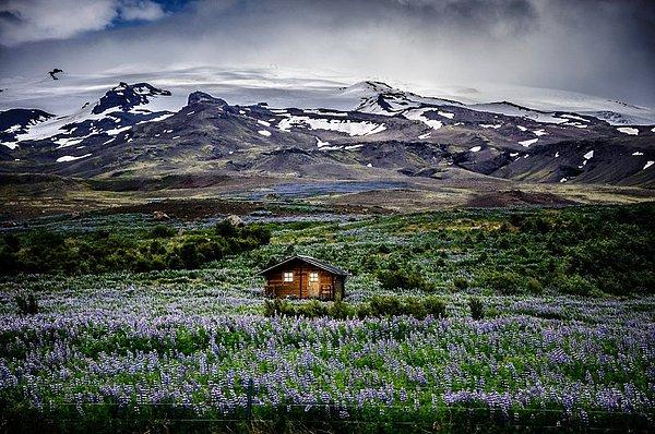 9. İzlanda