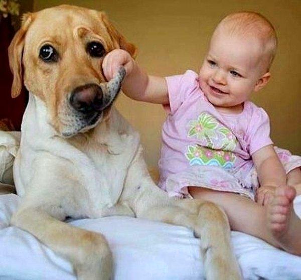 15. Köpeğin yanağıyla oynayan meraklı bebek.