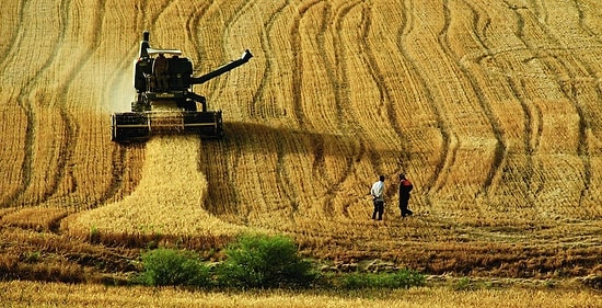 'Dolardaki Yükseliş Tarımda Maliyetleri Artırıyor'