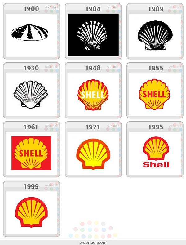 3. Shell