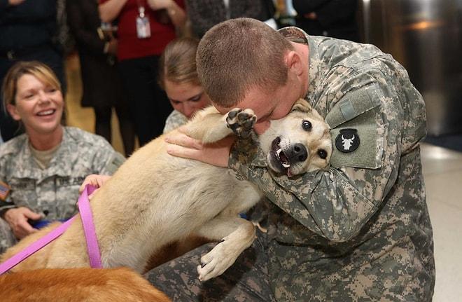 Askerden Dönen Sahiplerini Görünce Sevinçten Çılgına Dönen 22 Köpek