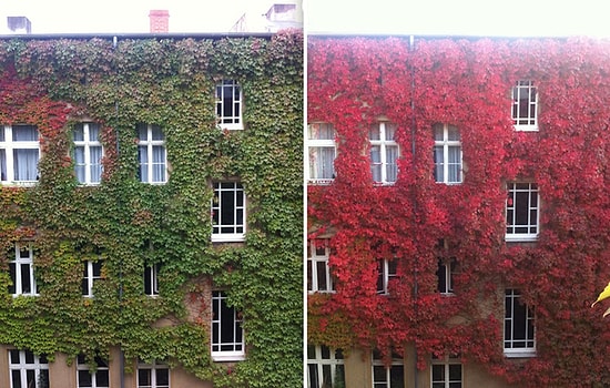 Sonbaharın Güzelliğini Gözler Önüne Seren Karşılaştırmalı 13 Fotoğraf