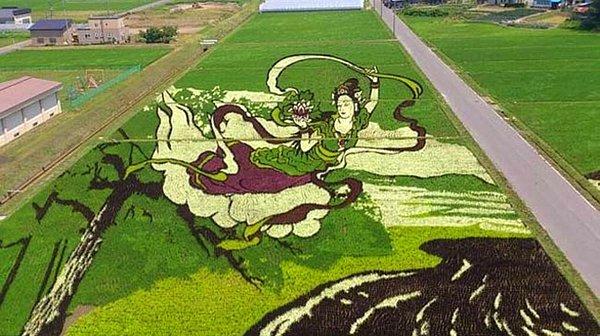 13. Tanbo Pirinç Tarlası Sanatı (Japonya)