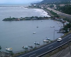 'Karadeniz'de Kıyıların Doldurulması Tüm Canlı Türlerini Olumsuz Etkiliyor'