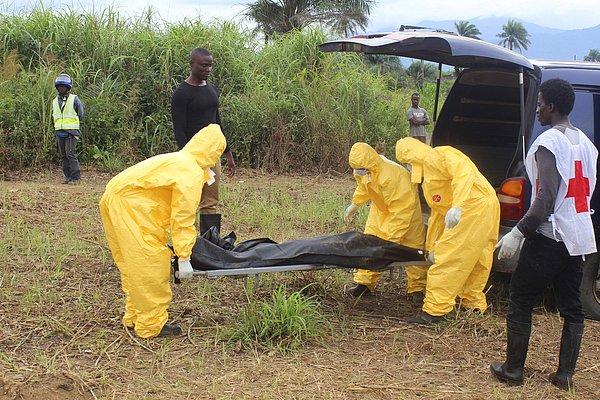 4. Bir Ebola kurbanının ölü bedenini taşıyan sağlık çalışanları. Freetown, Sierra Leone. 21 Ekim