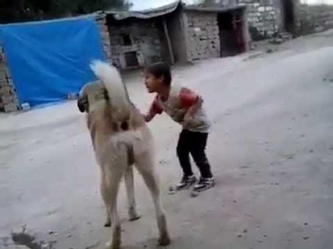 Kangal ile ölüm dansı yapan korkusuz çocuk!