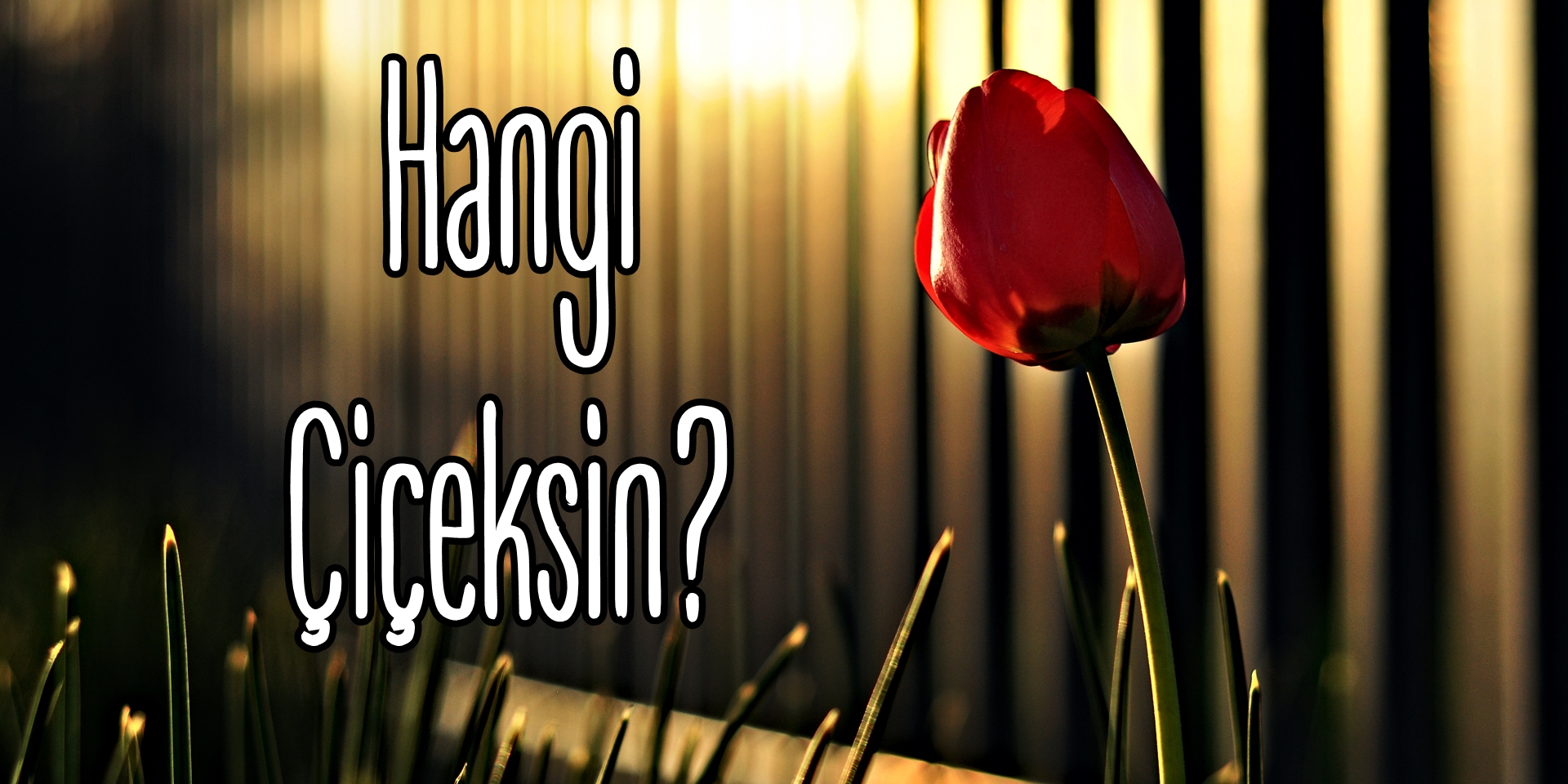 Zenginler Arkadaşlarıyla, Yoksullar Aileleriyle Vakit Geçiriyor Zenginler Arkadaşlarıyla, Yoksullar Aileleriyle Vakit Geçiriyor