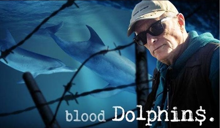 Dünyanın İlk Yunus Eğitmeni Nasıl Değişti?