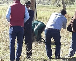 Bitlis'te Köy Korucusunun Öldürülmesini HPG Üstlendi