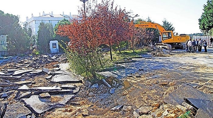 Validebağ Korusu'nda Neler Oluyor? Bilmeniz Gereken 11 Madde!