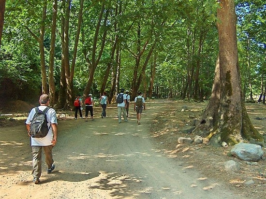 Kaybolan Öğrenci Kafilesinden İyi Haber