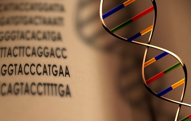 5- Dna Neden "Tesadüf"le Açıklanamaz?