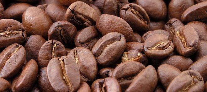 Dünyanın En Pahalı Kahvesi Bir Hayvan Dışkısından