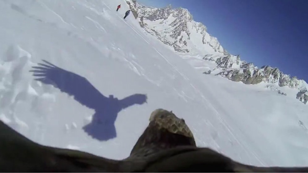 Bir Kartalın Gözünden 'Kuşlar Gibi Özgür Olmak'