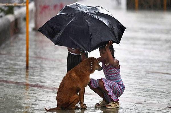 20. Sokak köpeğini yağmurdan koruyan çocuklar, Bombay.