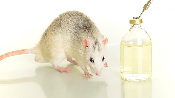 9. Создали искусственную кожу.