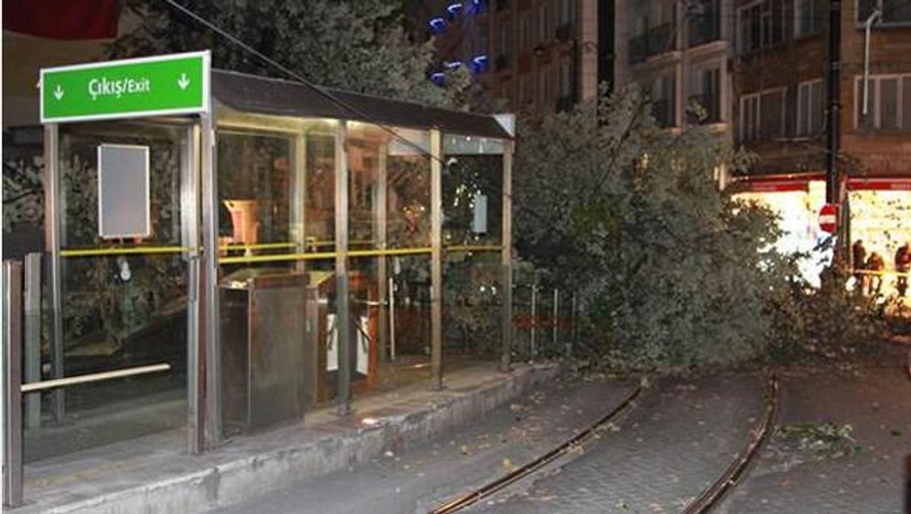 Tramvay Yoluna Ağaç Devrildi: 3 Yaralı