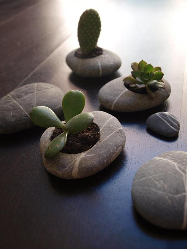 7. Ya da taşların içini oyarak küçük türde ki bitkileri burada yetiştirebilirsiniz.