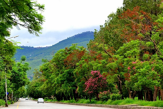 Ataturk Avenue(cadde) - Islamabad, Pakistan