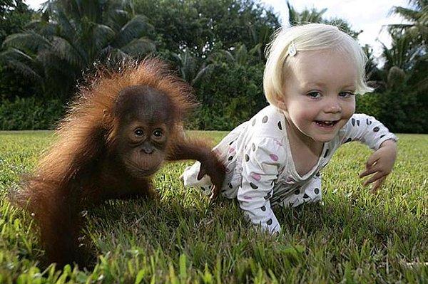 3. Çocuk ve maymun arasında fark olduğunu bilmeyenler