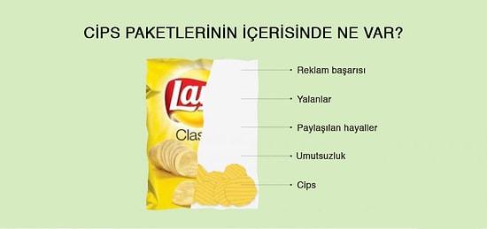 Yaşama Dair Gerçekleri Gösteren 15 Bilimsel İnfografik