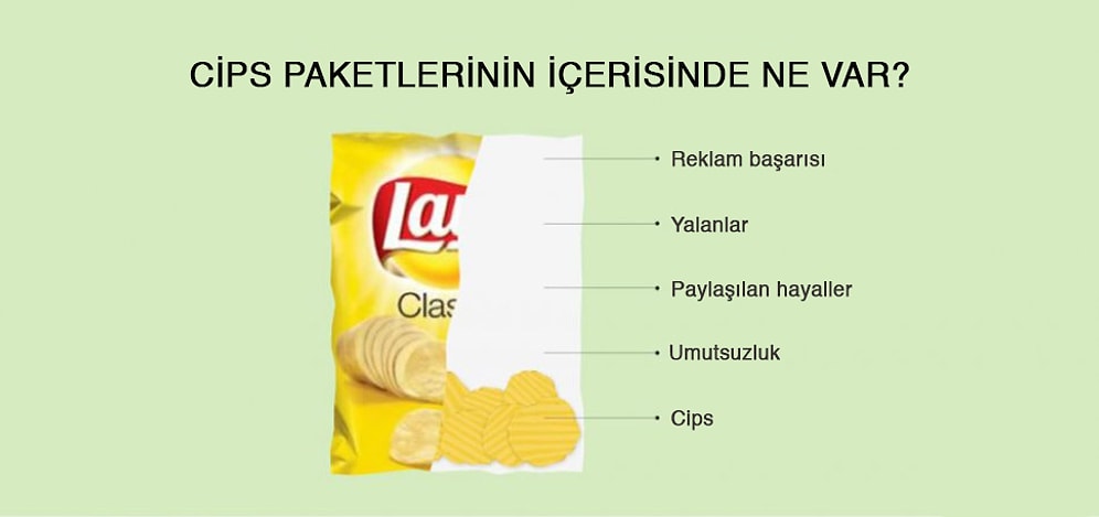 Yaşama Dair Gerçekleri Gösteren 15 Bilimsel İnfografik