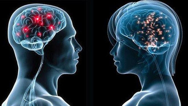 Kadın ve Erkek Beyni Arasındaki Farklar