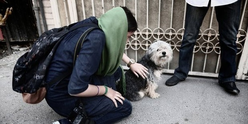 İran'da Köpek Besleyenlere Kırbaç Cezası Teklifi