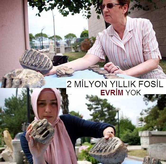 2 Milyon Yıllık Mamut Fosili Bulundu