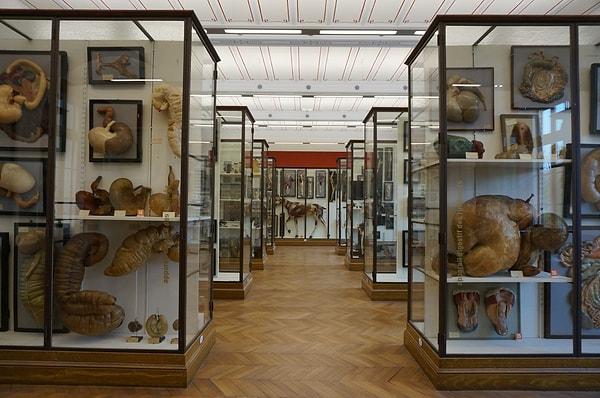4. Fragonard Müzesi- Fransa
