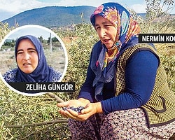 Yırca Köylüleri: "Çocuk Okutuyoruz, Hırsızlık Mı Yapalım?"