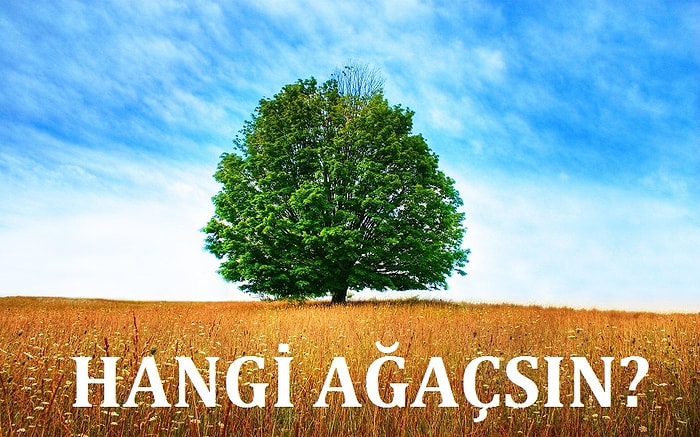 Hangi Ağaç Senin Ruh İkizin?