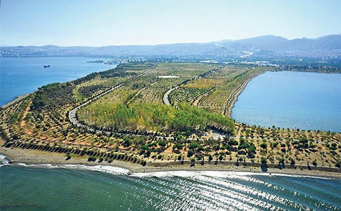 Çöplüktü, Kent Ormanına Dönüştü