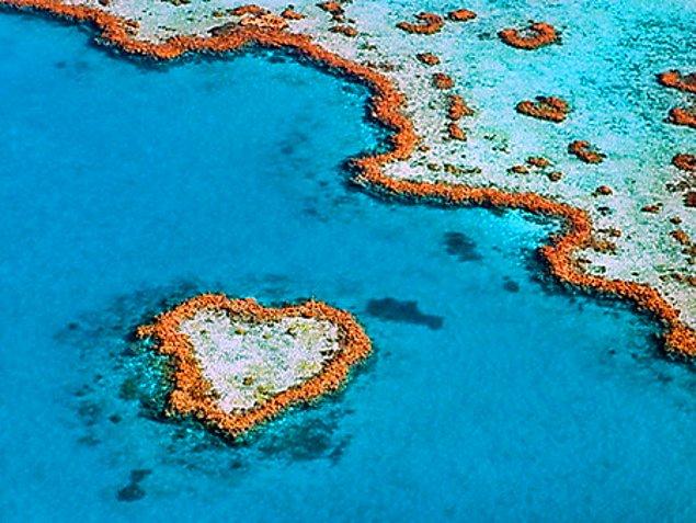 1. Heart Reef, Avustralya
