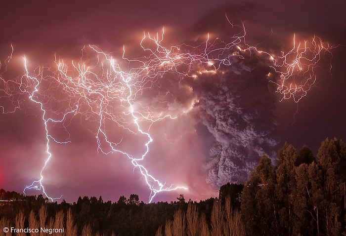 2014'ün En İyi 10 Vahşi Doğa Fotoğrafı