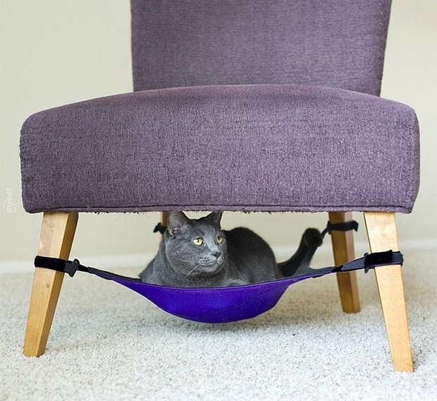 Kedi Severlerin Bayilacagi 17 Muthis Mobilya