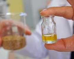 Omega-3 Sigarayı Bırakmaya Yardımcı Olabilir