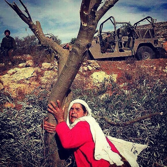 10 Maddede Yırca'da Neler Oluyor?