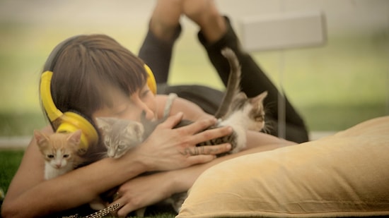 Strese Bire Bir Yavru Kedi Terapisi