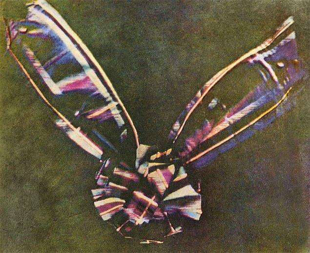 7. İlk Renkli Fotoğraf (Tartan Ribbon, taken by James Clerk Maxwell in 1861)