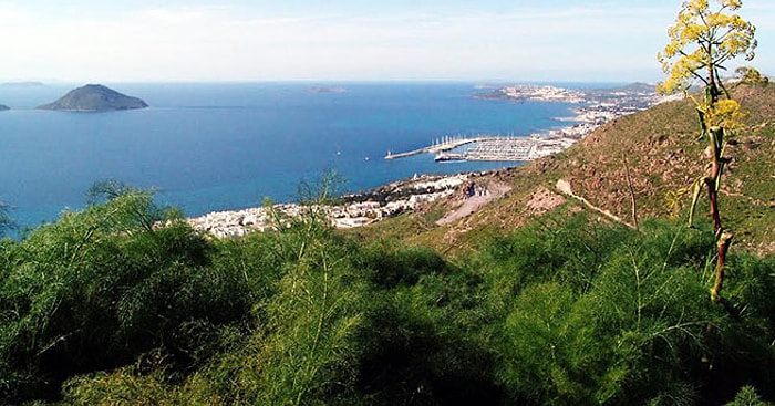 Bodrum'da RES Projesinin Yürütmesi Durduruldu