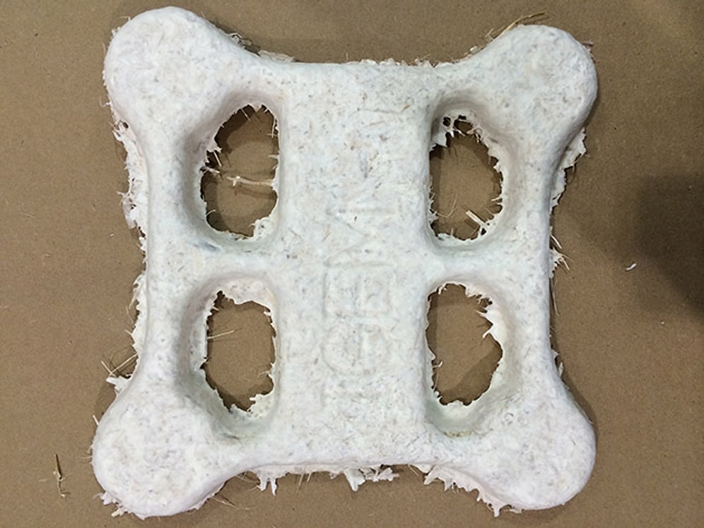 Mantardan Yapılan Bu Drone Gerektiğinde Kendini Parçalayabiliyor