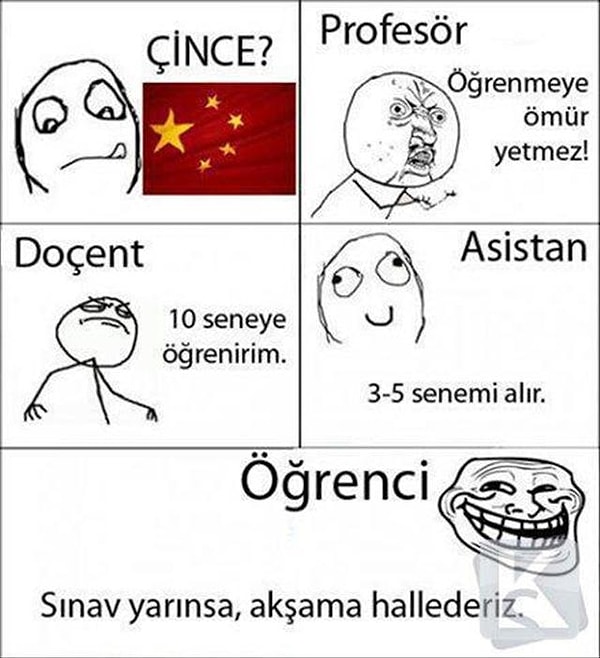 6. Sınava bir gün kala çalışmak, bir öğrencilik geleneğidir. Sürekli çalışan inekler de olabilir, istisnai olarak. Söylediğim gibi, onları kınıyoruz!