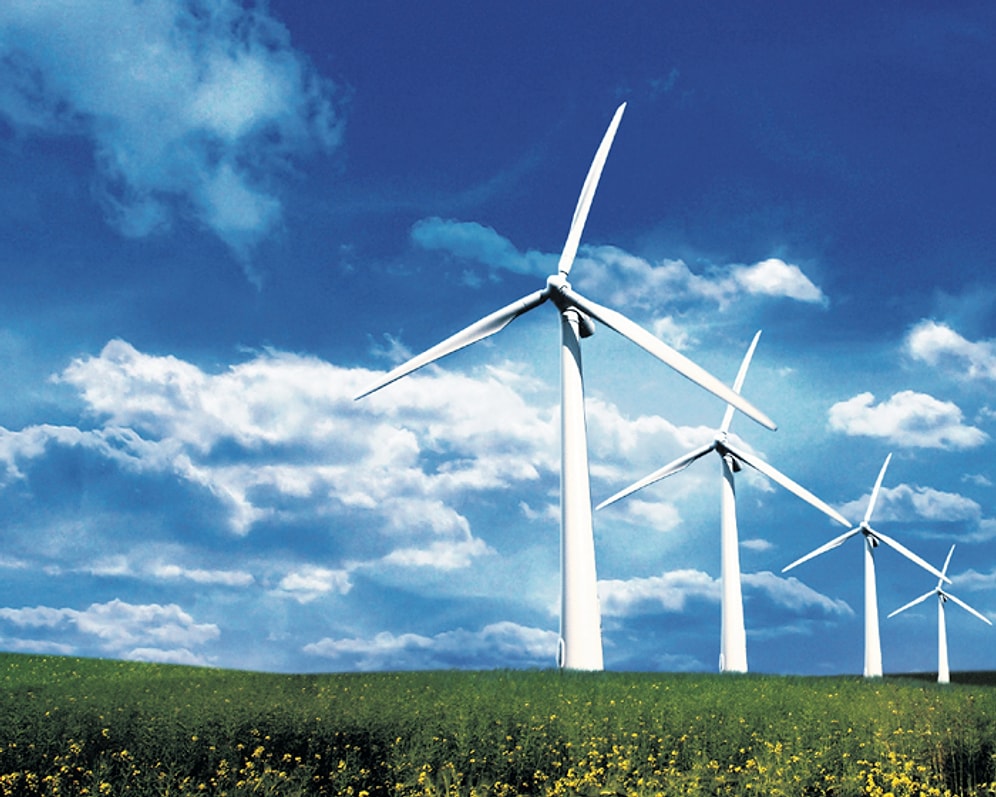 WWF: 'Kömüre Muhtaç Değiliz, Alternatifi Var'