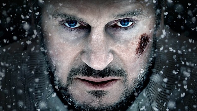 28. Gri Kurt / The Grey (2011) | IMDb: 6.8