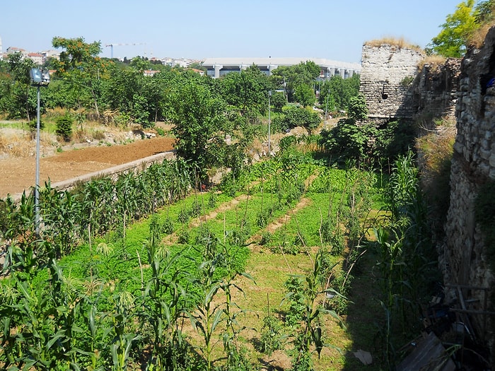 Yedikule Bostanları İmara Açılıyor